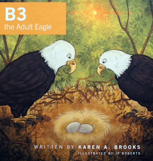 B3 the Adult Eagle